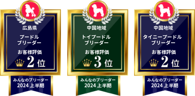 広島県プードルブリーダー部門：第2位
中国地域トイプードルブリーダー部門：第3位
タイニープードルブリーダー部門：第2位