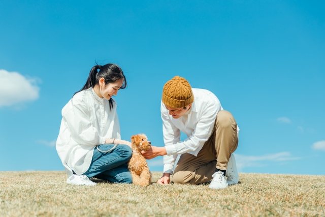 愛犬と散歩
